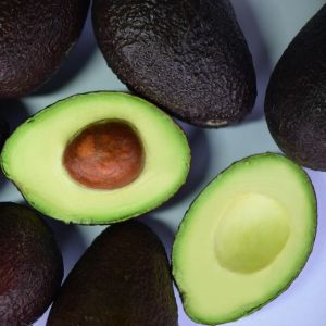 Avocat 3 Pièces