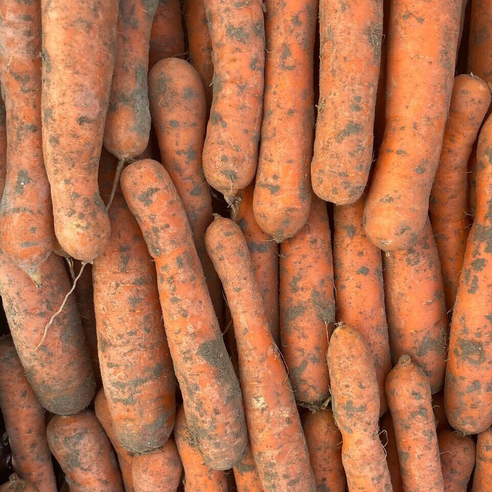 Carottes Sables 1 kg