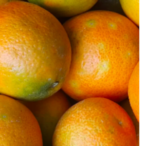 Mandarines Sicile 1 kg