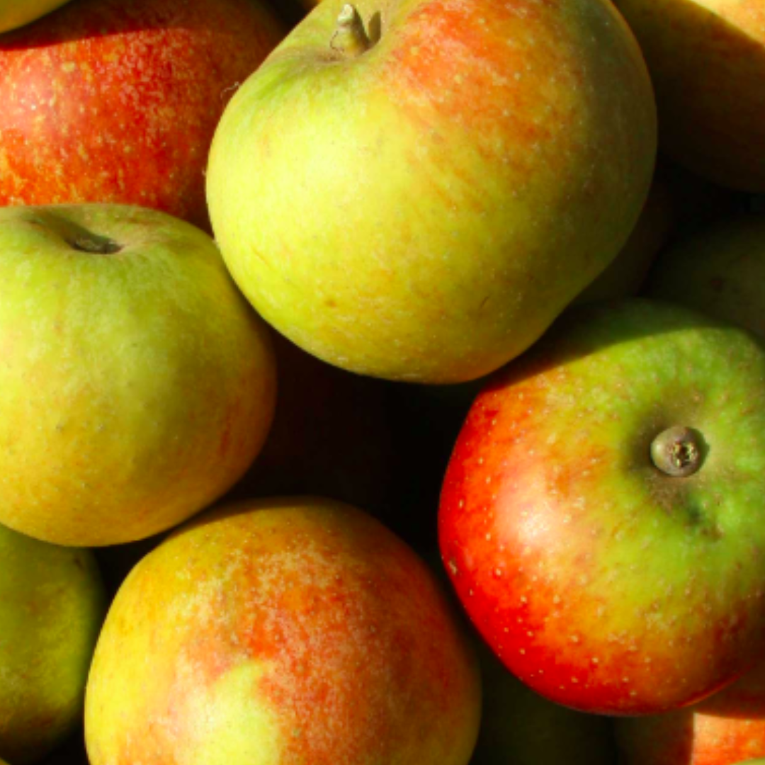 Pommes Cox Orange 1 kg