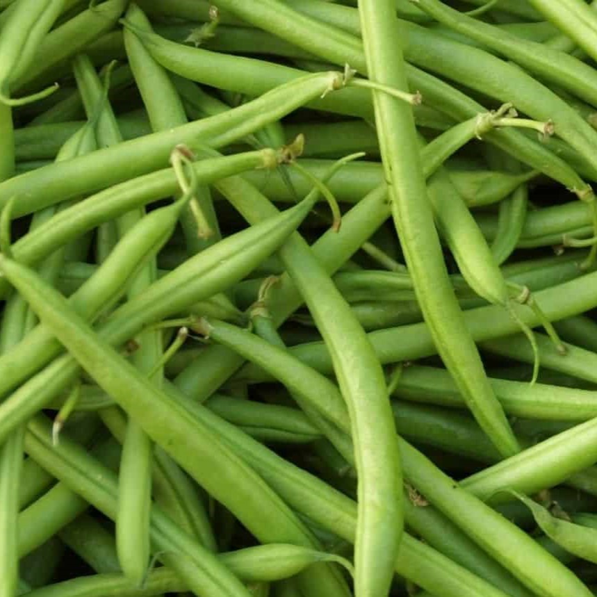 Haricots Verts (500 g)