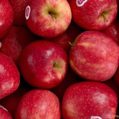 Pommes Pink Lady 1 kg