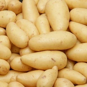 Pommes de Terre 1 kg