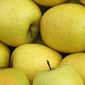 Pommes Golden (1 kg)