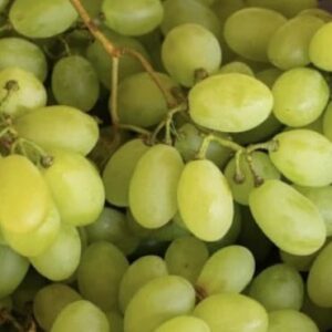 Raisins Blancs Sans pépin (500 g)