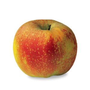 Pommes Belle de BOSKOOP (1 kg)