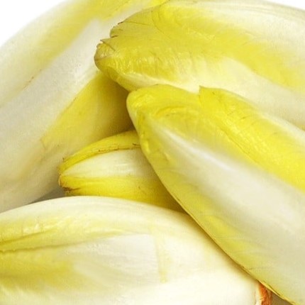 Endive  1 kg