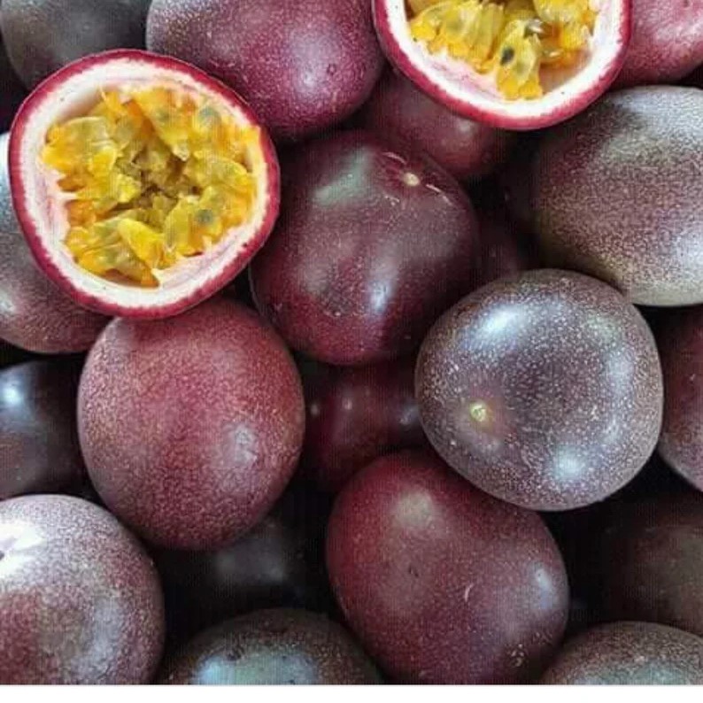 Fruit de la Passion pièce
