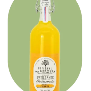 Boisson Artisanale Pétillante Orange 100 cl