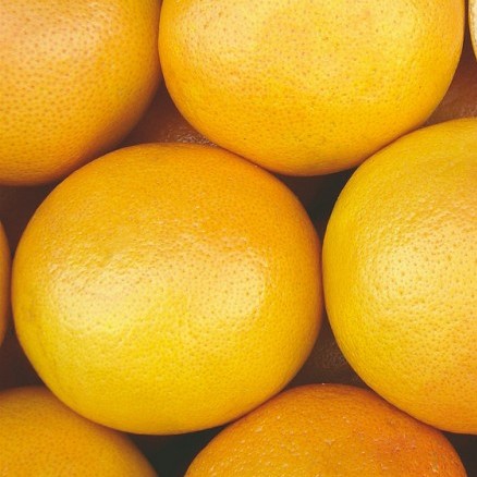 Pamplemousse 3 Pièces