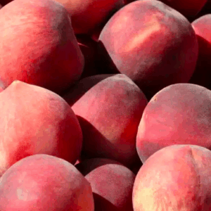 Pêches blanches (500 g)
