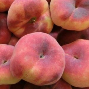Pêches Blanches Plates (500 g)