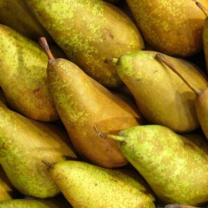 Poires Conférence 1 kg