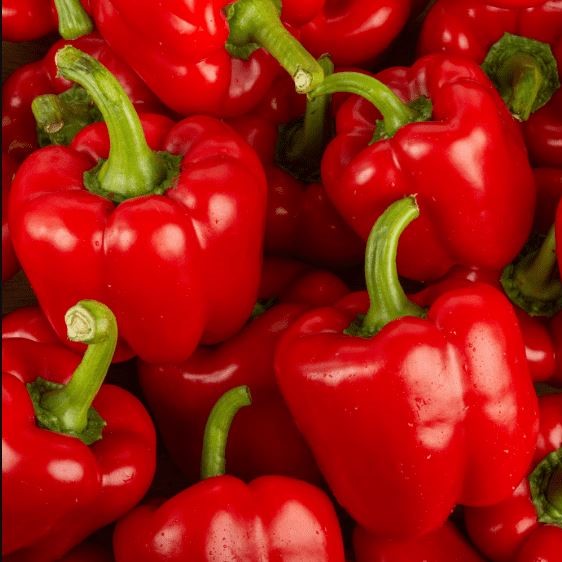 Poivron Rouge Pièce