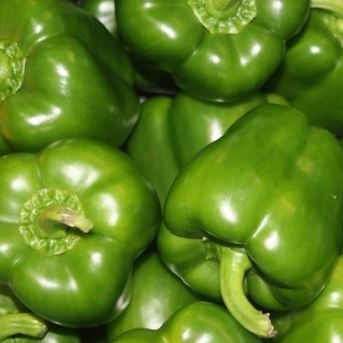 Poivron Vert Pièce